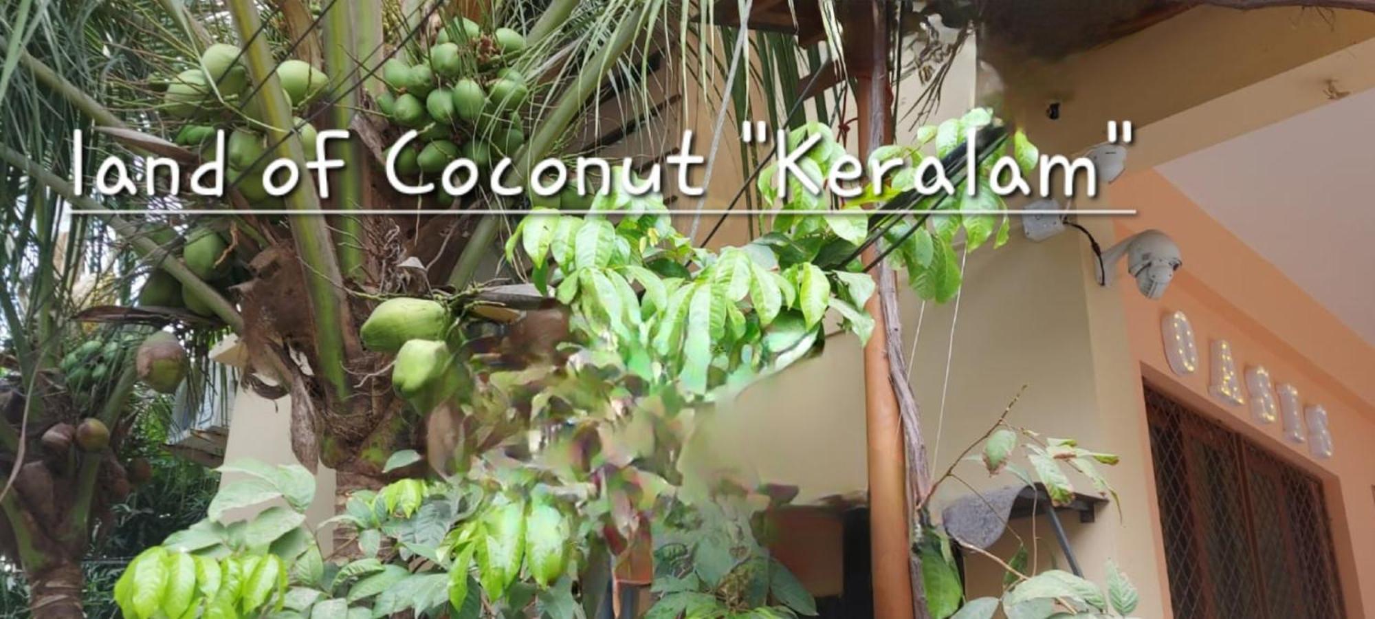 Oasis Homestay Kochi Esterno foto