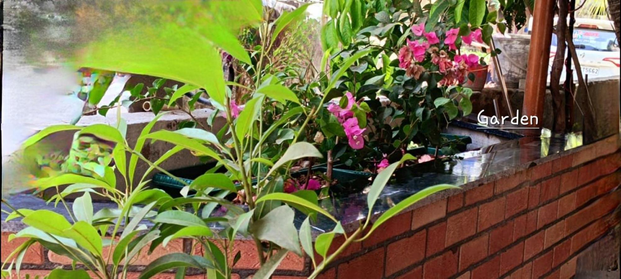 Oasis Homestay Kochi Esterno foto